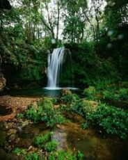 Memorable 3 Days delhi to jim corbett Vacation Package