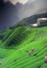 Beautiful 6 Days delhi to ranikhet Tour Package