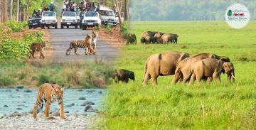 Beautiful 6 Days delhi to ranikhet Tour Package