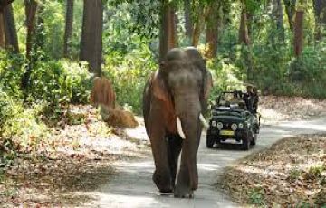 Beautiful 6 Days delhi to ranikhet Tour Package