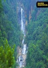 Ecstatic 6 Days 5 Nights nuwara-eliya Trip Package
