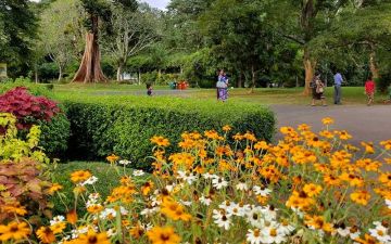 Pleasurable 4 Days 3 Nights nuwara eliya Vacation Package