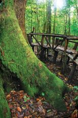 4 Days 3 Nights COLOMBO to mirissa Vacation Package