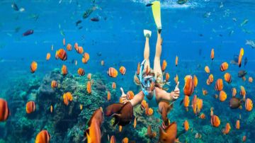 5 Days 4 Nights Negombo to kandy Vacation Package