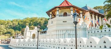 5 Days 4 Nights Negombo to kandy Holiday Package