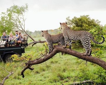 5 Days 4 Nights Negombo to kandy Holiday Package