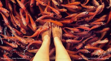 5 Days 4 Nights negombo to colombo Tour Package