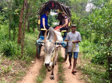 Ecstatic 5 Days 4 Nights kandy Trip Package