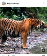 5 Days cochin, munnar, thekkady and alleppey Nature Vacation Package