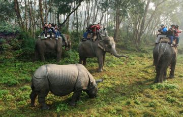 Family Getaway 8 Days kathmandu Vacation Package