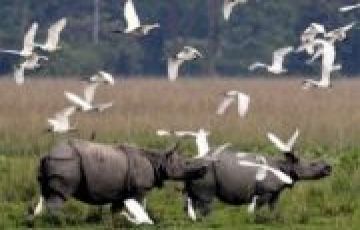 4 Days 3 Nights shillong, cherrapunjee and guwahati Holiday Package