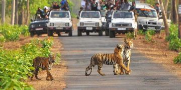 Best 3 Days 2 Nights jim corbett Weekend Getaways Tour Package