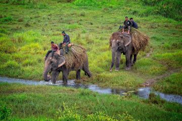 10 Days 9 Nights kathmandu to pokhara Trip Package