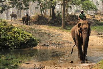 6 Days 5 Nights kathmandu to chitwan Tour Package