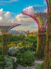 Best singapore Family Tour Package for 5 Days 4 Nights