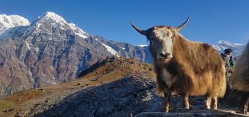 14 Days 13 Nights Kathmandu to lukla Vacation Package