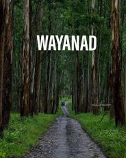 Magical 6 Days Cochin to thekkady Holiday Package