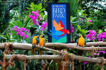 Family Getaway 4 Days Singapore Airport Drop off to singapore city tour with flyer Trip Package