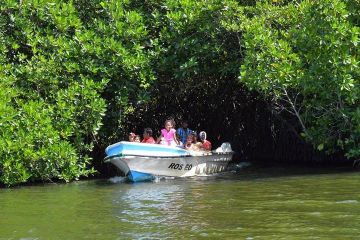 4 Days 3 Nights airport to kandy Vacation Package