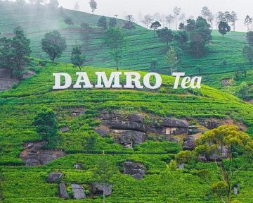 3 Days 2 Nights Airport to nuwara eliya Luxury Trip Package