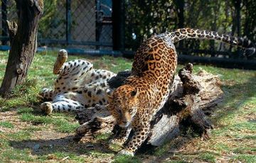 7 Days 6 Nights Delhi to nainital Vacation Package