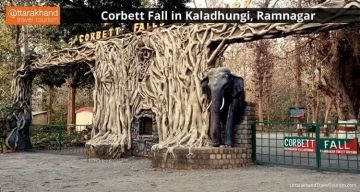 Nainital - Ranikhet - Kausani - Jim Corbett Tour Package