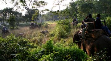 Best 2 Days 1 Night chitwan Tour Package