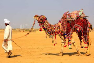 Magical 9 Days Udaipur to assam Tour Package