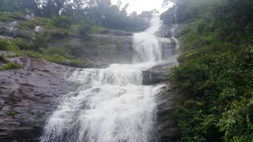 5 Days 4 Nights kochi to munnar Family Holiday Package