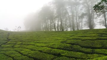 4 Days 3 Nights kochi to alleppey Tour Package