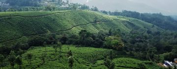 Heart-warming 3 Days 2 Nights munnar Trip Package