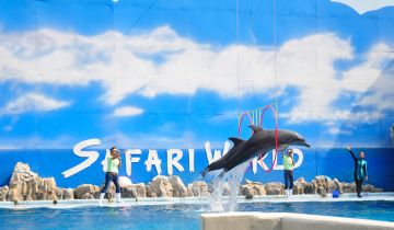 6 Days pattaya, bangkok and delhi Family Trip Package