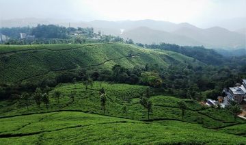 4 Days 3 Nights munnar and thekkady Nature Holiday Package