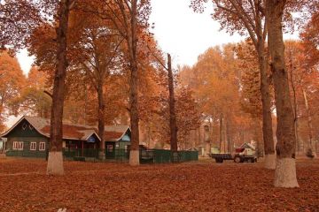 Magical 5 Days 4 Nights srinagar - pahalgam day trip Tour Package