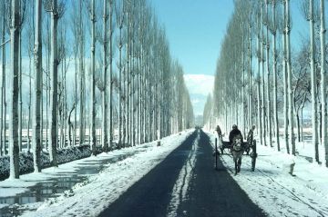 Ecstatic 8 Days 7 Nights srinagar -sonmarg day trip Trip Package