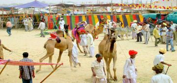 9 Days 8 Nights jaipur to jaisalmer Tour Package