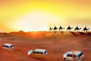 Amazing dubai Friends Tour Package for 5 Days