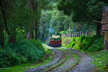 5 Days 4 Nights Bangalore to ooty - coonoor Holiday Package