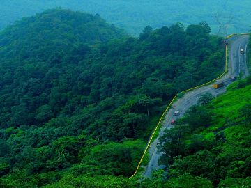6 Days 5 Nights bangalore, bangalore - coorg, coorg - wayanad and wayanad Trip Package