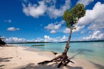 6 Days 5 Nights port blair to neil island Trip Package