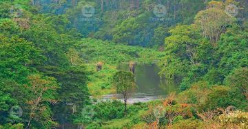 Ecstatic 6 Days Cochin to thekkady Tour Package