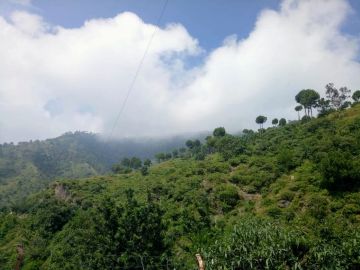 5 Days shimla, kufri, shimla to manali with manali Friends Tour Package