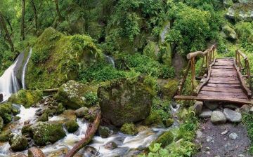 Jibhi - Tirthan Valley Tour  2022-23