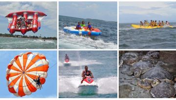 6 Days 5 Nights Bali Tour Package by Trip Shades Pvt Ltd