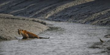 Sundarban Special Wildlife Package 5 Days 4 Nights