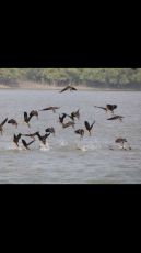 Sundarban Special Wildlife Package 5 Days 4 Nights