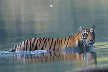 03 nights 04 days tour packages