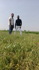 7 Days 6  Kashmir Tour Package