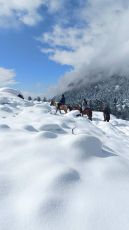 7 Days 6  Kashmir Tour Package