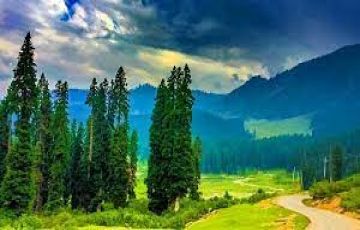 Beautiful 4 Days Srinagar Tour Package by Patron tour and travels